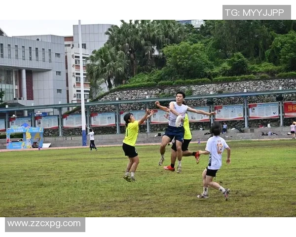 飞盘竞技的魅力与挑战：深入探讨广州飞盘队的战术与团队协作MBA