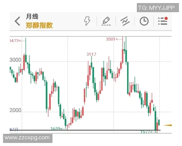 重庆足球队与成都足球队赛后技术分析与战术复盘探讨